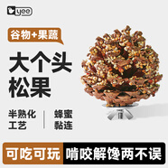 YEE鸚鵡獎勵零食棒磨喙松果球訓(xùn)練玄鳳牡丹專用啃咬玩具【原味35g】