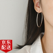 Warme Farben 大圈圈耳環(huán)女耳飾2025新款潮圓圈耳圈韓國氣質(zhì)網(wǎng)紅大耳圈 5cm耳環(huán)