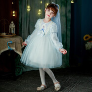 婉凱冰雪奇緣發(fā)光裙女童愛(ài)莎公主裙兒童艾莎亮片蓬蓬連衣裙公主 燈籠袖裙子(不含燈和頭紗) 130cm