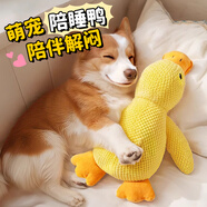 歡寵網(wǎng)寵物狗玩具狗狗自己玩解悶自嗨耐咬磨牙發(fā)聲小狗幼犬遛狗逗狗神器