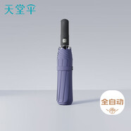 天堂 全自動(dòng)雨傘三折 10骨加固一鍵開收易甩干簡約晴雨傘 蘭灰