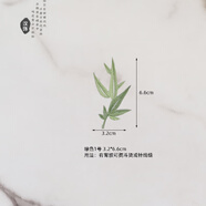 日美新 布貼竹葉修補程式刺繡圖案熨燙款可手縫中式衣服竹子裝飾繡花貼 P070綠色1號(可燙可縫)