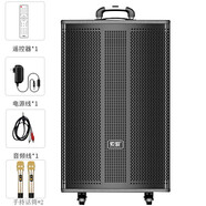 索愛(ài) (soaiy)SA-T55/T30拉桿音響戶(hù)外廣場(chǎng)舞電視電腦投影儀手機唱歌音響會(huì )議主持促銷(xiāo)演講藍牙音響 SA-T53(12英寸）配2個(gè)無(wú)線(xiàn)話(huà)筒