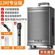 先科（SAST）廣場(chǎng)舞藍(lán)牙戶外拉桿音響大功率木質(zhì)音箱大音量帶無(wú)線話筒家用k歌 12吋音箱+單話筒