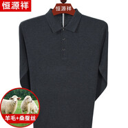 恒源祥含羊毛桑蠶絲長(cháng)袖t恤男中老年春秋季翻領(lǐng)薄款寬松針織打底體恤衫 1703深灰 XL (180)