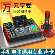 十盞燈G10-全新跟唱功能聲卡手機唱歌專(zhuān)用直播設備全套主播K歌不跑調錄音話(huà)筒蘋(píng)果安卓電腦通用 [套裝7] P10大振膜48V電容麥+G10聲卡