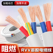 潤宇國標RVV電纜線(xiàn)2芯3芯家用電線(xiàn)1.52.546平方戶(hù)外三相護套電源軟線(xiàn) RVV國標電纜線(xiàn)10米送插頭插座白 100m3芯6平方毫米