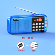 先科（SAST） N28收音機(jī)老年人V30便攜式迷你播放器充電插卡廣播隨身聽音樂聽歌半導(dǎo)體戲曲唱戲機(jī) N28天空藍(lán)+8G內(nèi)存卡