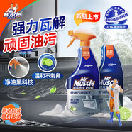 威猛先生（Mr Muscle）油污清潔劑  油煙機凈油泡泡650g*2小青檸香G14凈油因子高效3合1 