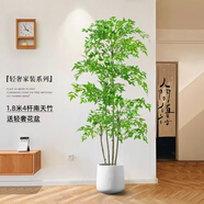 未歐南天竹仿真綠植盆栽高端輕奢室內(nèi)客廳裝飾擺件大型造景落地假花樹 180cm 4桿南天竹+輕奢花盆