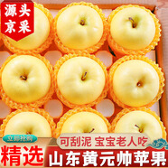 良蚨鮮黃元帥蘋果山東煙臺(tái)黃金帥粉面老人孩子當(dāng)季新鮮沙面粉糯黃香蕉 精美禮盒9斤大果【送禮專享】
