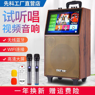 先科（SAST）M9廣場舞音響 藍(lán)牙視頻音箱 大功率便攜式拉桿家用ktv點(diǎn)歌功放一體機(jī) WiFi-雙話筒版