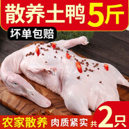 崠鮮 新鮮鴨肉生鮮白條鴨冷凍整只 煲湯食材鴨子肉 鴨子 凈2.5斤*2只