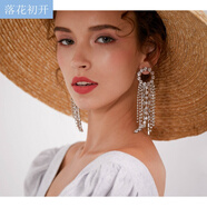落花初開 925銀針人造水鉆流蘇耳釘長耳環(huán)女氣質(zhì)歐美夸張個性耳墜耳飾