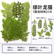 植物標(biāo)本diy材料滴膠手機(jī)殼創(chuàng)意手工制作干花壓花押花書簽真樹葉 綠葉龍貓