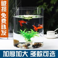 茨格曼圓柱形魚(yú)缸一體缸辦公桌面養(yǎng)魚(yú)缸迷你小型玻璃鋼烏龜缸家用金魚(yú)缸 透明 直徑20*高20CM
