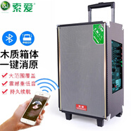 索愛(ài)X28廣場(chǎng)舞音響戶外大音量拉桿藍(lán)牙音箱木質(zhì)重低音K歌無(wú)線麥克風(fēng)話筒室外樂(lè)器吉他專(zhuān)業(yè)演出音響 10寸(藍(lán)牙版)+2支無(wú)線話筒