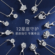 Djin十二星座一克拉莫桑鉆銀項(xiàng)鏈女鎖骨鏈女吊墜生日女神節(jié)禮物送女友 天蝎座 莫桑鉆款【10.24-11.22】