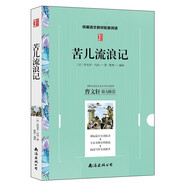 苦兒流浪記