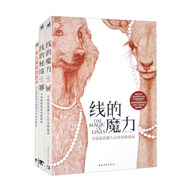 美麗的線條風格插畫：線的魔力+線的秘境+圓珠筆創(chuàng)意畫作（套裝共3冊）