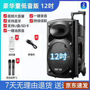 先科（SAST）廣場舞音響專業(yè)戶外k歌音箱帶話筒家用拉桿藍(lán)牙手拉麥克風(fēng) 12吋+雙話筒