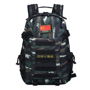 蟻行客 虎斑迷彩背包 戰(zhàn)術(shù)背包軍迷戶外雙肩包多功能作訓(xùn)包登山旅行書包 老虎斑背包 均碼