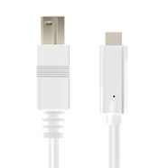 俏妙智能鋼琴數據線(xiàn) The ONE電鋼琴連接線(xiàn) 適用于蘋(píng)果iPad安卓 白色 TOK/TON型號:安卓type-c(線(xiàn)) 1