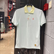 耐克（NIKE）T恤短袖男裝夏季新款經(jīng)典翻領(lǐng)POLO衫健身運動(dòng)服透氣休閑上衣 HM4460-333淺綠 2XL