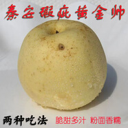 正宗甘肅天水黃元帥正品新鮮當季秦安黃金帥蘋(píng)果微瑕疵清倉打折 微瑕疵黃元帥 凈重8.5斤12-13顆至尊果王