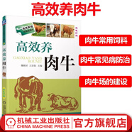 高效養肉牛 魏剛才 養牛技術(shù)大全書(shū)籍 肉牛養殖技術(shù)書(shū)籍 科學(xué)飼養肉牛 高效健康養殖關(guān)鍵技術(shù)牛 牛病防制疾病預防與防治養牛技術(shù)大全