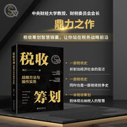 稅收籌劃戰(zhàn)略方法與操作實務(wù)??稅收籌劃智慧錦囊，讓你站在稅務(wù)戰(zhàn)略前沿