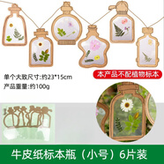 森邂禮干花書簽手工diy材料瓶子里的春天收集冊(cè)透明樹葉標(biāo)本塑封膜粘貼畫玻璃制作教學(xué)標(biāo)本收集秋天 牛皮紙標(biāo)本瓶【小號(hào)6款裝】