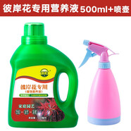 花玲瓏 適用于彼岸花營養(yǎng)液500ml 紅花石蒜曼珠沙華幽靈花植物濃縮營養(yǎng)液體肥料 活力素澆花水促生根 彼岸花營養(yǎng)液500ml+噴壺