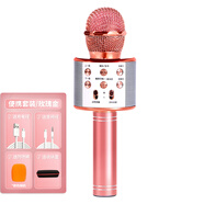 多寶萊 無線麥克風(fēng)藍(lán)牙電容話筒音響家用全套唱歌手機(jī)一體直播設(shè)備全民K歌神器主播通用 玫瑰金【標(biāo)配版-便攜套裝】錄音線+收納盒