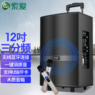 索愛(ài)（soaiy） SH36 無(wú)線(xiàn)藍牙音箱戶(hù)外大音量廣場(chǎng)舞音響小型家用K歌手提擺攤 F36【高保真木箱】12吋+雙話(huà)筒