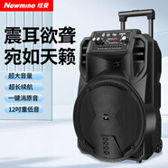 紐曼N509廣場(chǎng)舞音響移動(dòng)家用戶(hù)外K歌藍牙音箱拉桿便攜式重低音大音量超長(cháng)續航 12吋