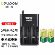 德力普（Delipow）2號(hào)充電電池通用R14/C型中號(hào)二號(hào)充電器套裝適用手電筒/收音機(jī)/玩具等 套裝（209充電器+2號(hào)3000mAh 2節(jié)） x1