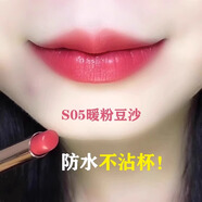 蘭奕小金管不沾杯口紅防水不掉色肉桂奶茶色霧面啞光滋潤(rùn)素顏鎖色細(xì)管 S05暖粉豆沙