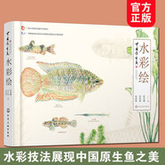 中國原生魚水彩繪 張國剛 彭作剛 常見原生魚類原創(chuàng)水彩畫物種飼養(yǎng)體驗(yàn)中國原生魚美艷鑒別魚種中國小型淡水魚飼養(yǎng)殖常識圖書籍
