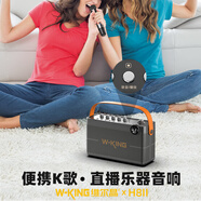 維爾晶（W-King） H8II手提戶外便攜藍(lán)牙音響直播K歌音箱家庭影院家庭KTV帶聲卡功能樂器彈唱高顏值小音箱支持雙麥 黑色