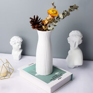 盛世泰堡 陶瓷花瓶擺件仿真花插花小花瓶水養(yǎng)植物容器桌面裝飾 泛木款20cm