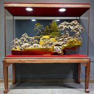 太行崖柏根雕意境天然隨形八駿馬金絲楠木雕大型開業(yè)禮品客廳擺件 褐色定金聯(lián)系客服選款下單1000