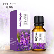 spa蘄艾草 老姜精油開背活絡植物按摩香薰衣草葉玫瑰保濕刮痧 歐芬妮10ml薰衣草 【實惠裝】5瓶