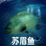 林暢模玩兒童海洋動物玩具實心仿真深海魚模型鋸鰩刺魟蝠鲼箱鲀認知生物 蘇眉魚