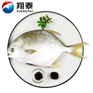 翔泰 冷凍二去金鯧魚340g1條  生鮮魚類 火鍋食材 海鮮水產(chǎn)