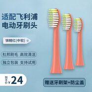 適配飛利浦ONE電動(dòng)牙刷頭1000系列HY1100/HY1200/BH1022牙刷刷頭 BH1022/11 錦鯉紅3支裝