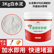 玉奕 直用水泥砂漿防水涂料堵漏王快干水泥花盆制作家用速干水泥黃沙補(bǔ)漏王 3kg【白色水泥】送工具