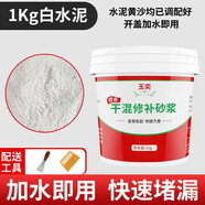 玉奕 直用水泥砂漿防水涂料堵漏王快干水泥花盆制作家用速干水泥黃沙補(bǔ)漏王 1kg【白色水泥】送工具