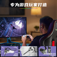 奇聯(lián)極境游戲耳機(jī)掛耳式開(kāi)放式藍(lán)牙2.4G無(wú)線耳麥?zhǔn)钟螣o(wú)延遲電腦電競(jìng)專(zhuān)用專(zhuān)用USB TYPE-C  游戲機(jī)適用 電競(jìng)專(zhuān)用2.4G穩(wěn)定傳輸