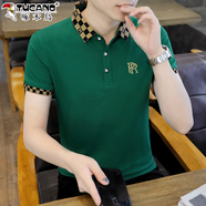 啄木鳥(niǎo)t恤男翻領(lǐng)夏季潮流男士短袖冰絲棉polo汗衫2024夏款高端體恤半袖T 綠色 L【推薦105-120斤】